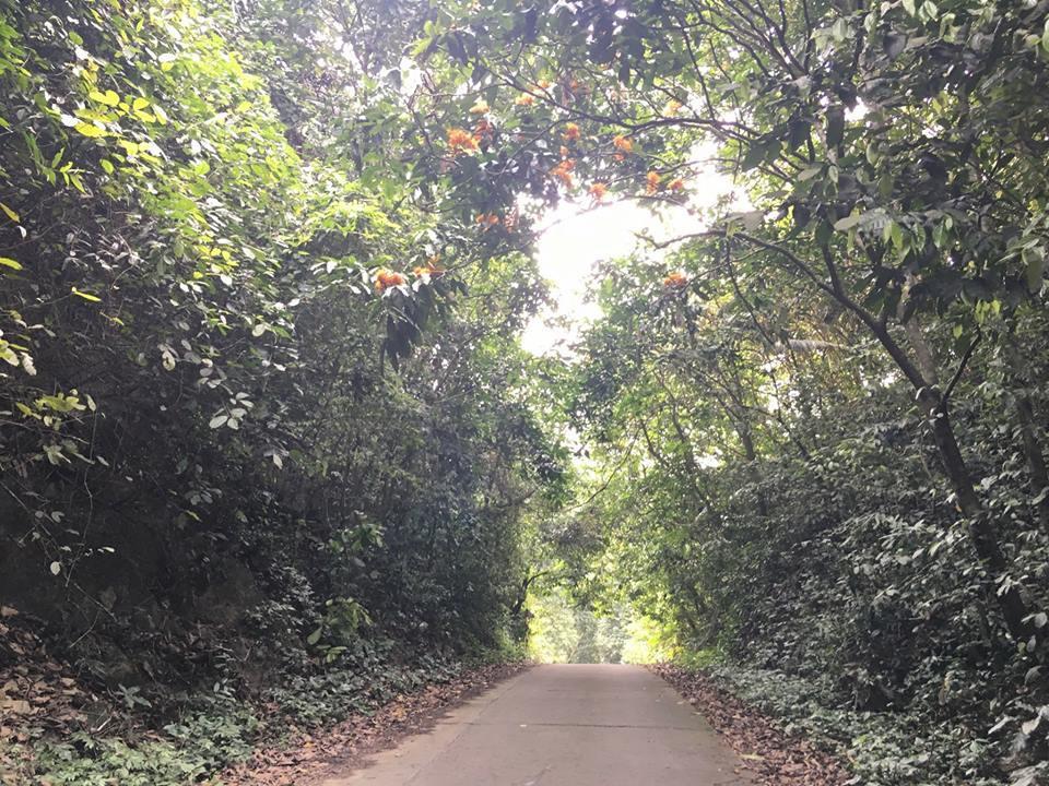 凡龙家庭旅馆 宁平 外观 照片